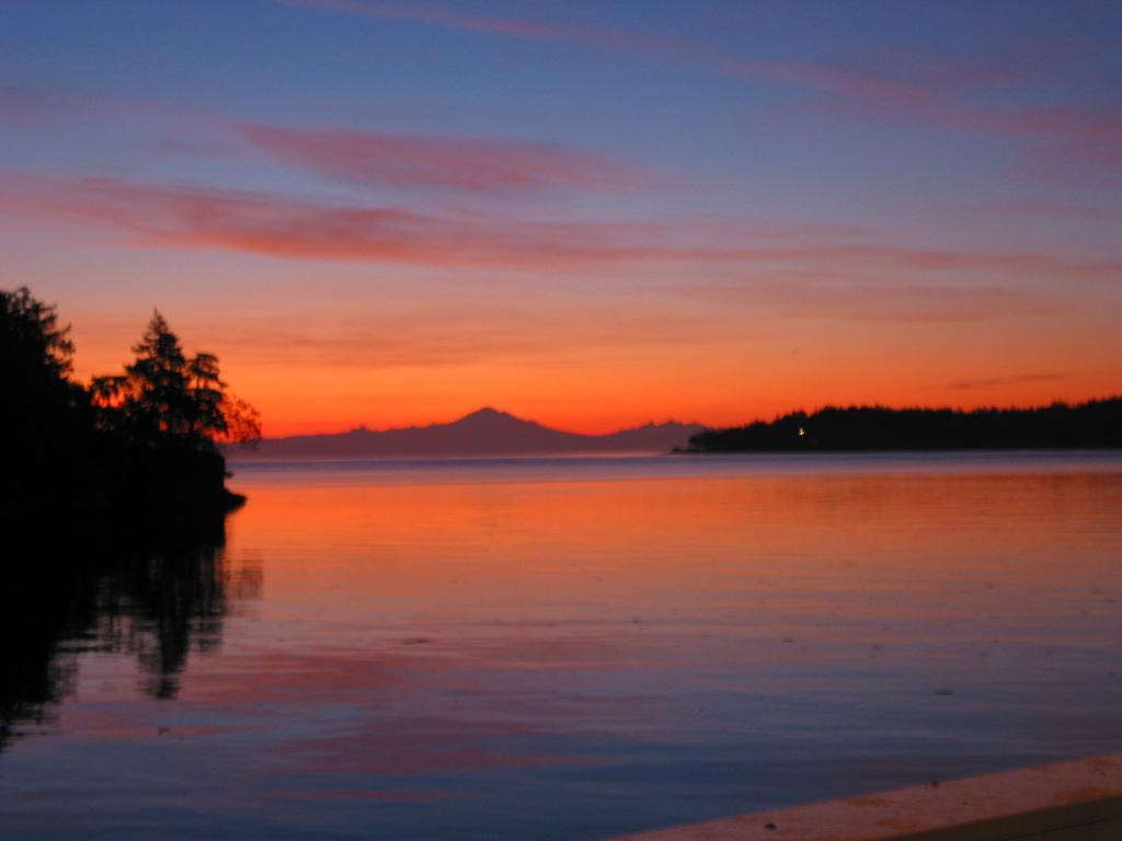 Sticks And Stones Cottage-Arbutus Grove Montague Harbour エクステリア 写真